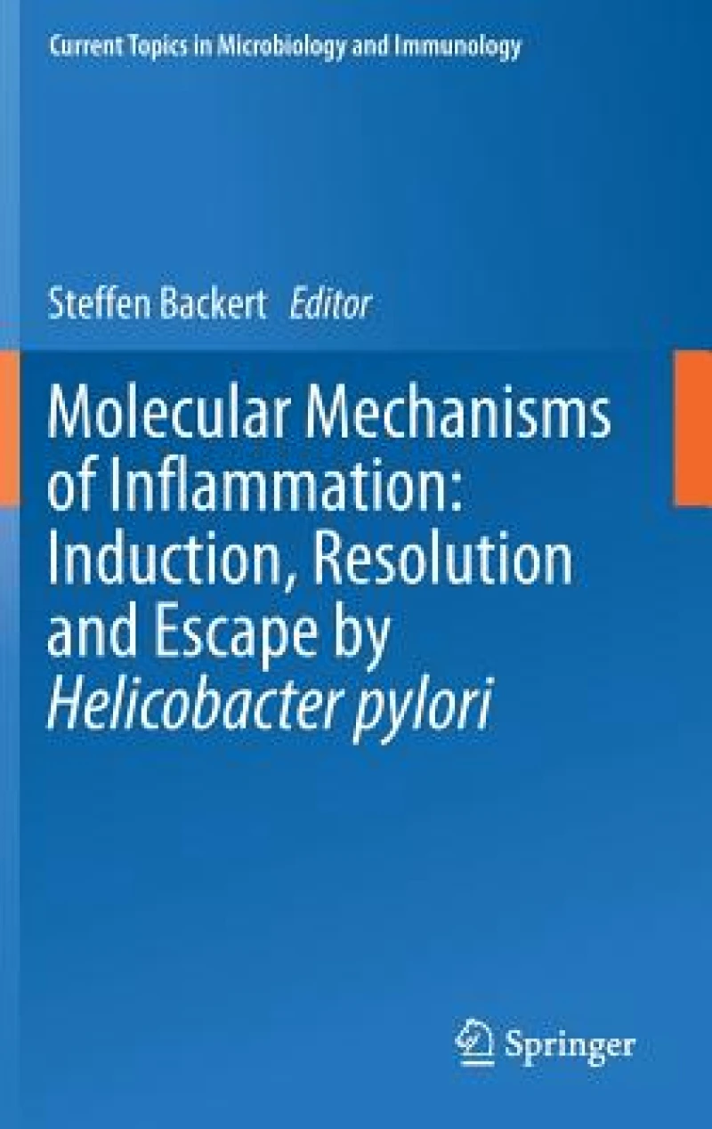 Molecular Mechanisms of Inflammation: Induction, Resolution and Escape by Helicobacter pylori