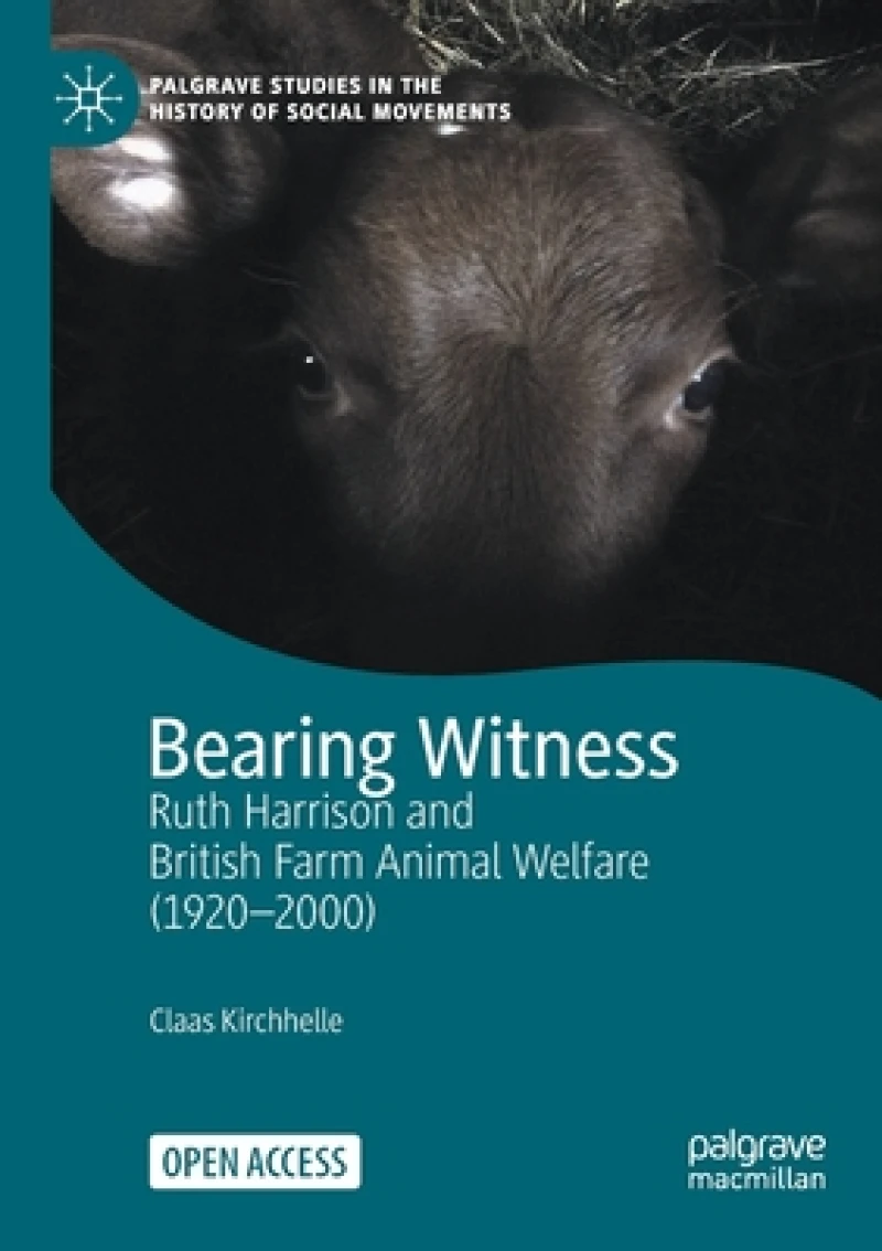 Bearing Witness
