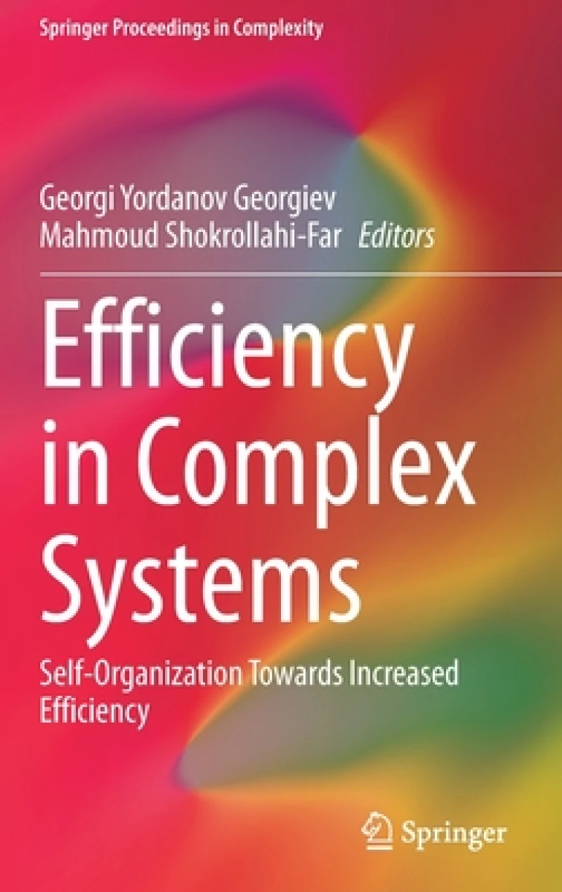 Efficiency in Complex Systems