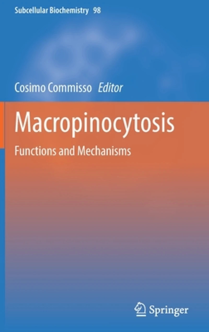 Macropinocytosis