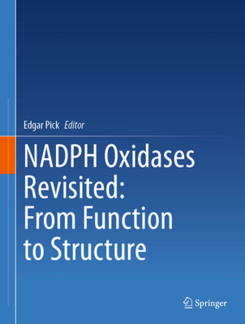 NADPH Oxidases Revisited: From Function to Structure