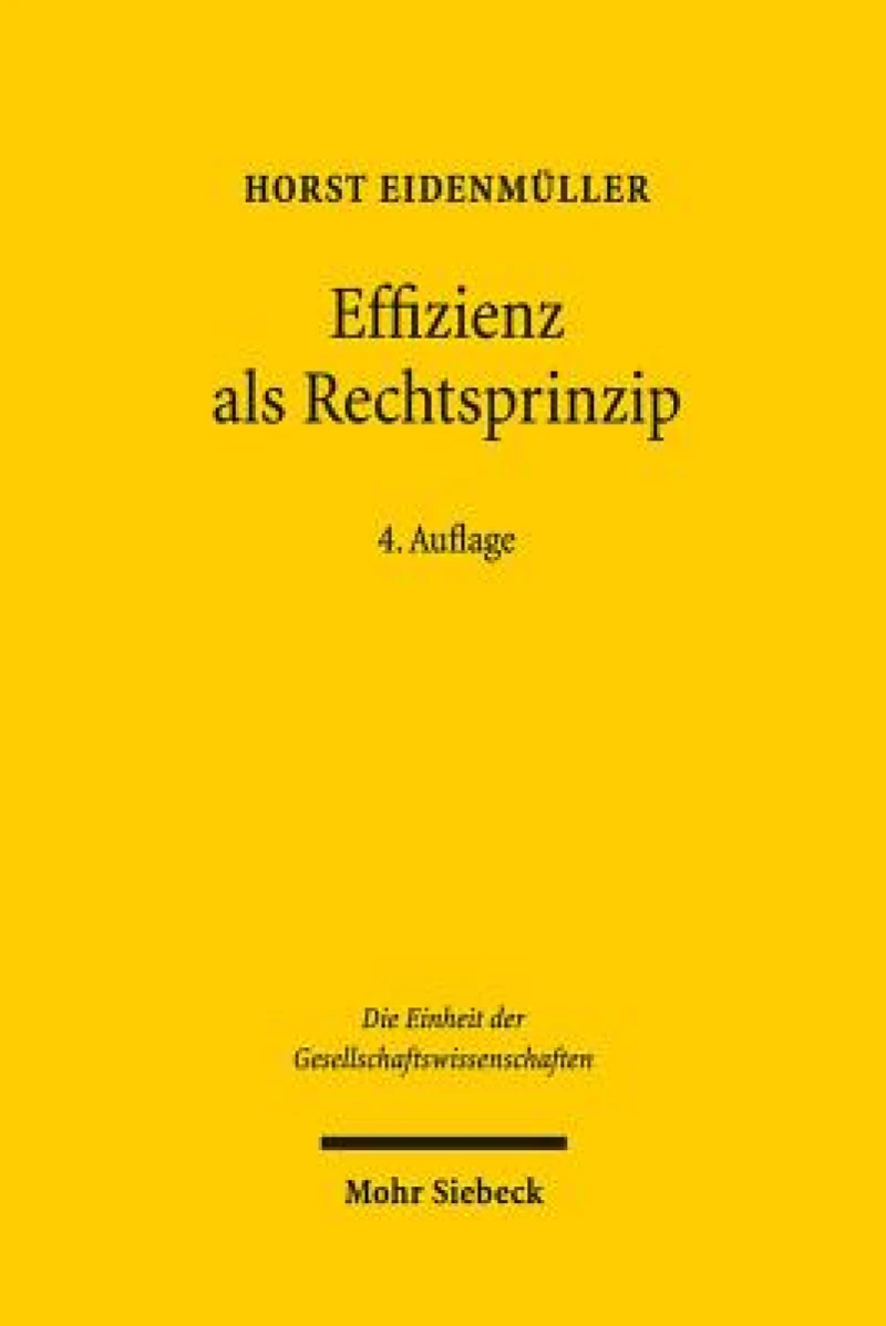 Effizienz als Rechtsprinzip