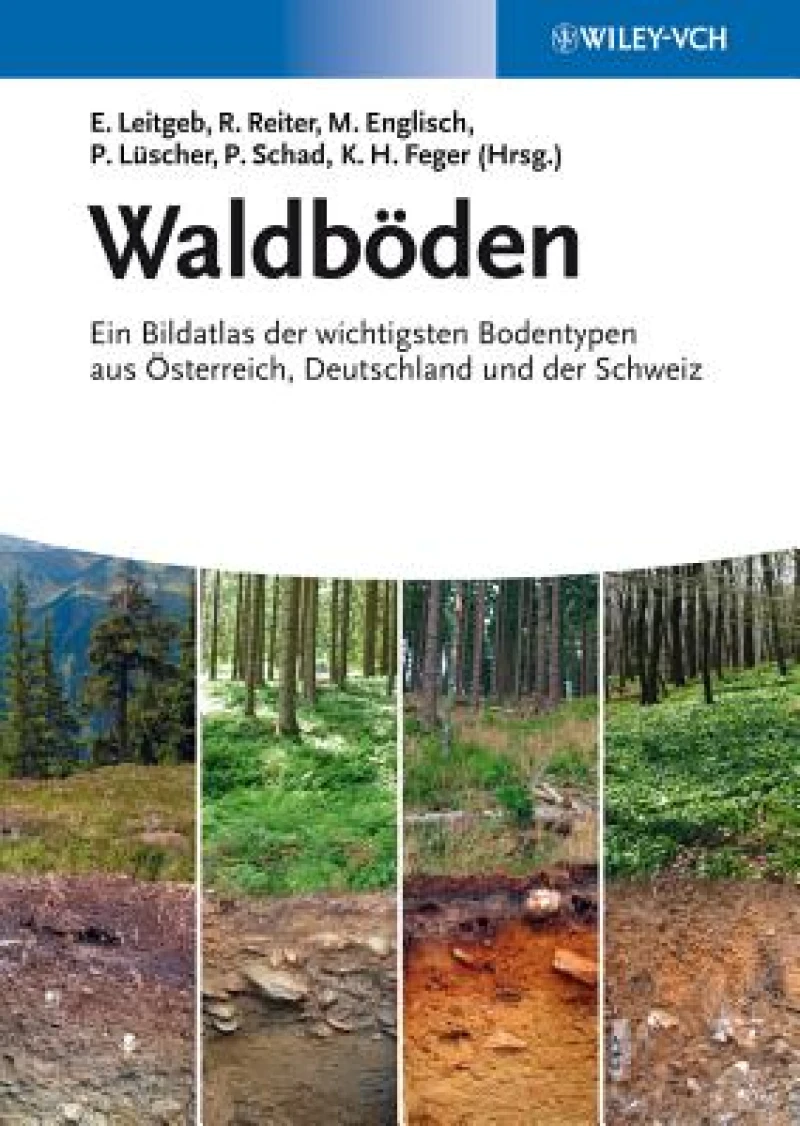 Waldboden