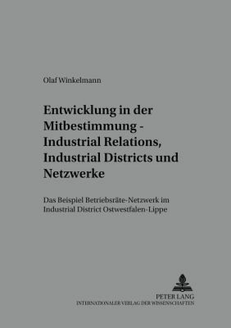 Entwicklung in der Mitbestimmung – Industrial Relations, Industrial Districts und Netzwerke