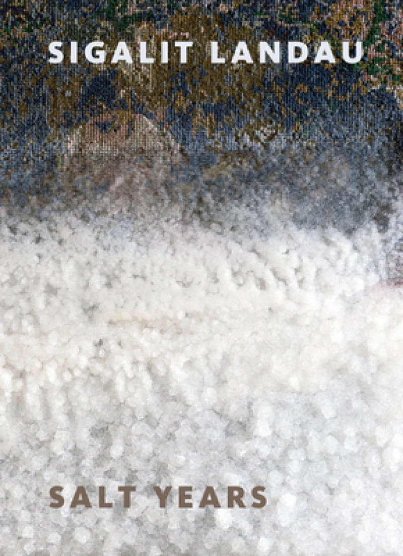 Sigalit Landau: Salt Years