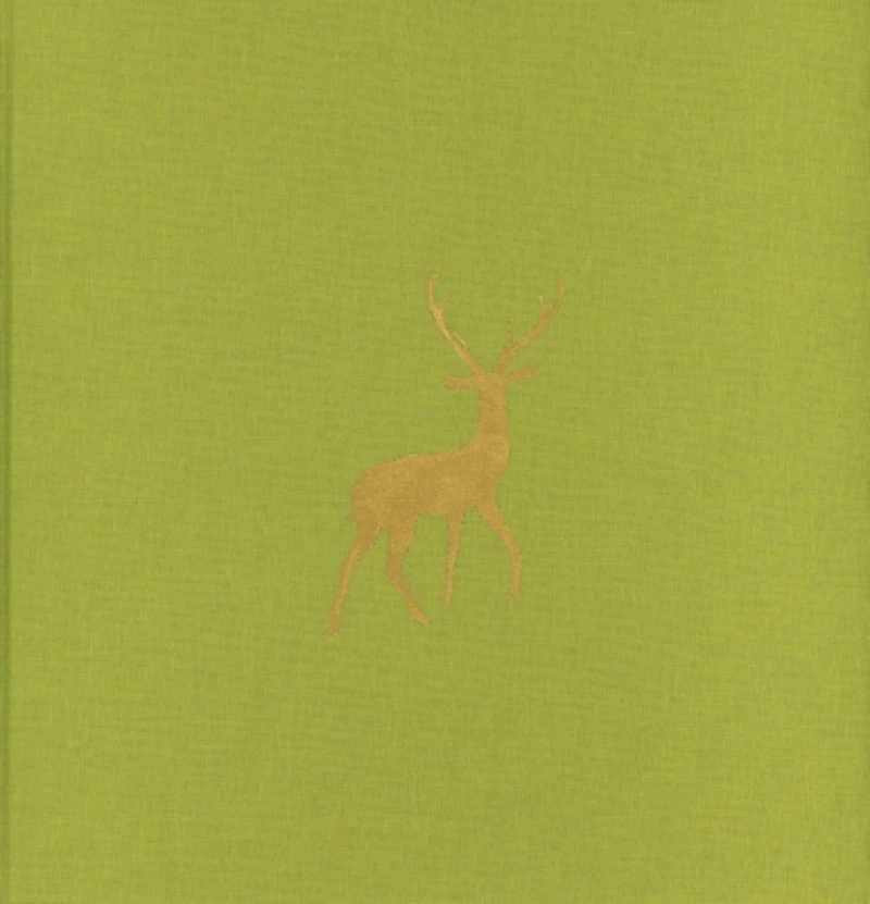 Paola De Pietri: Istanbul New Stories