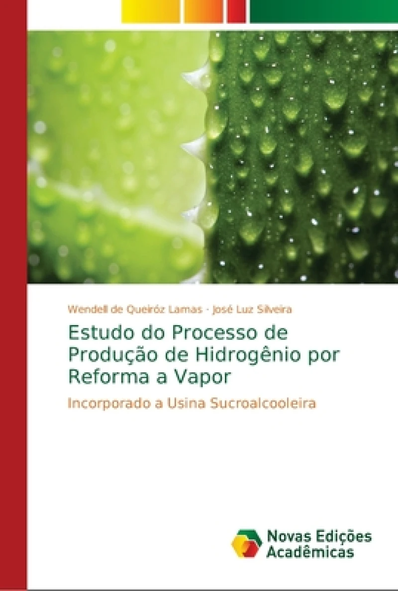 Estudo do Processo de Producao de Hidrogenio por Reforma a Vapor