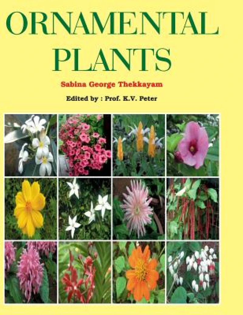 Ornamental Plants