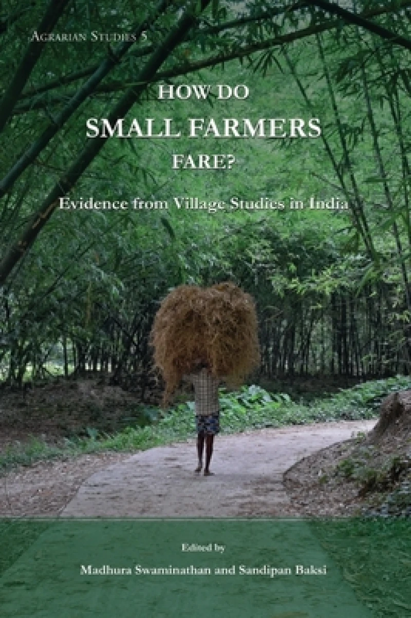 How Do Small Farmers Fare? – Evidence from Village Studies in India